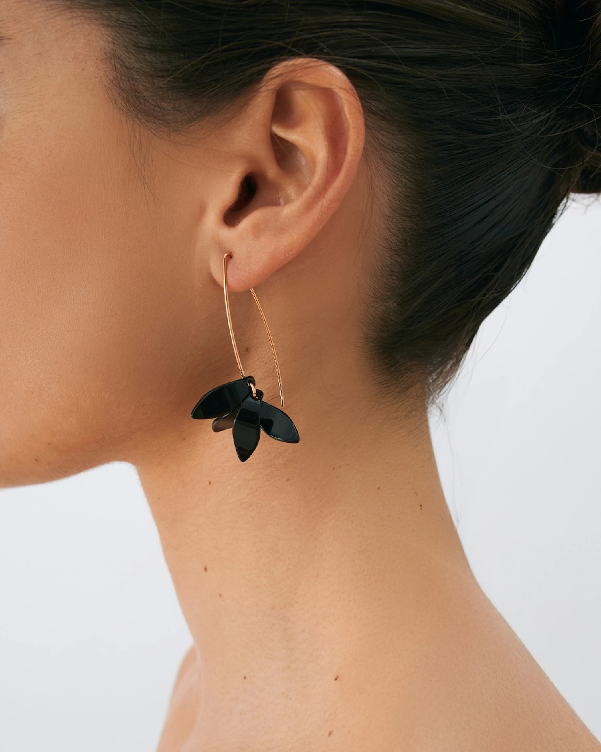 Petalos Orquídea  first