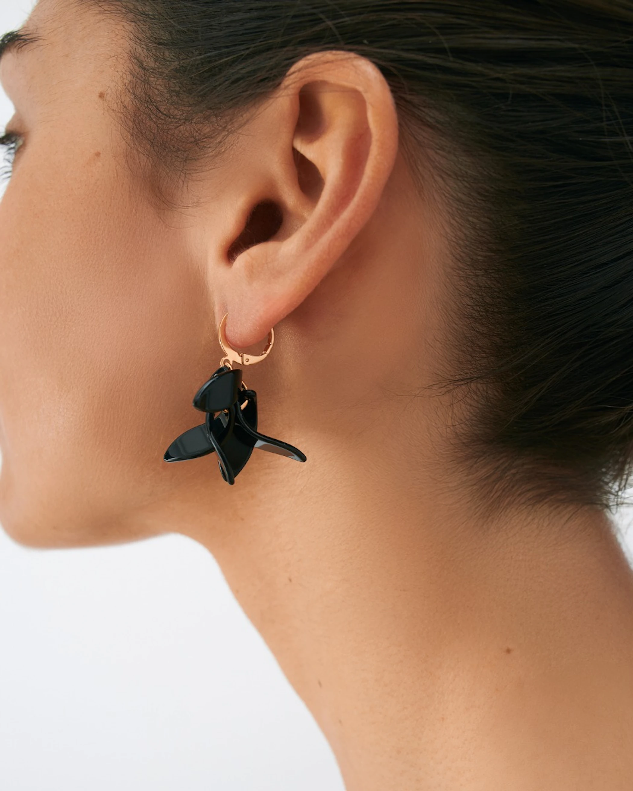 Petalos Orquídea  first