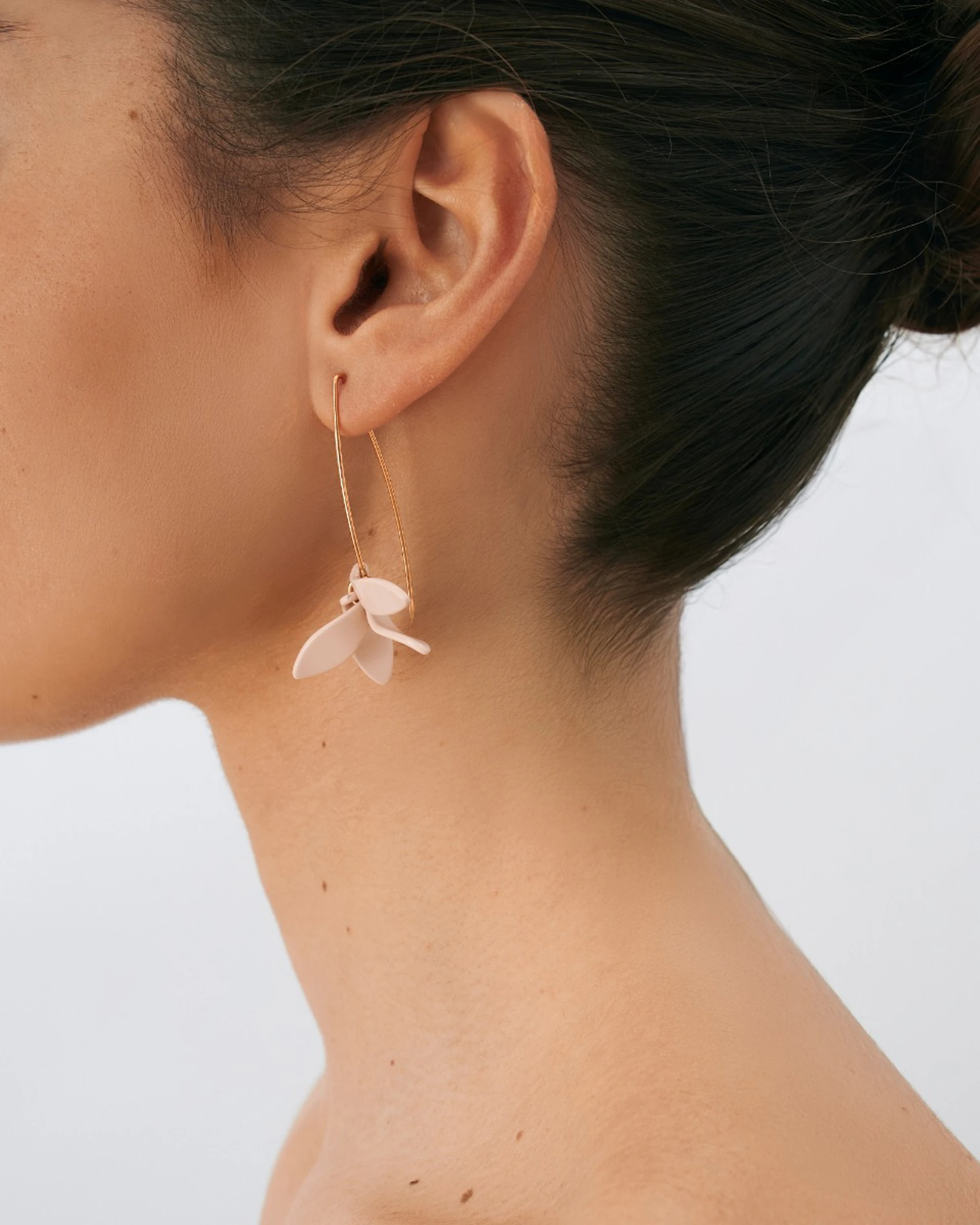 Petalos Orquídea  first