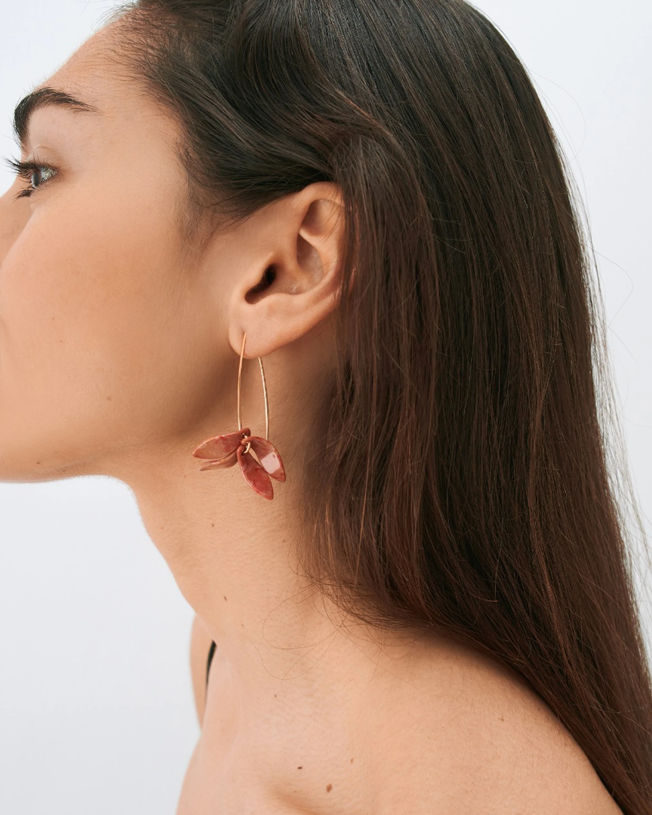 Petalos Orquídea  first