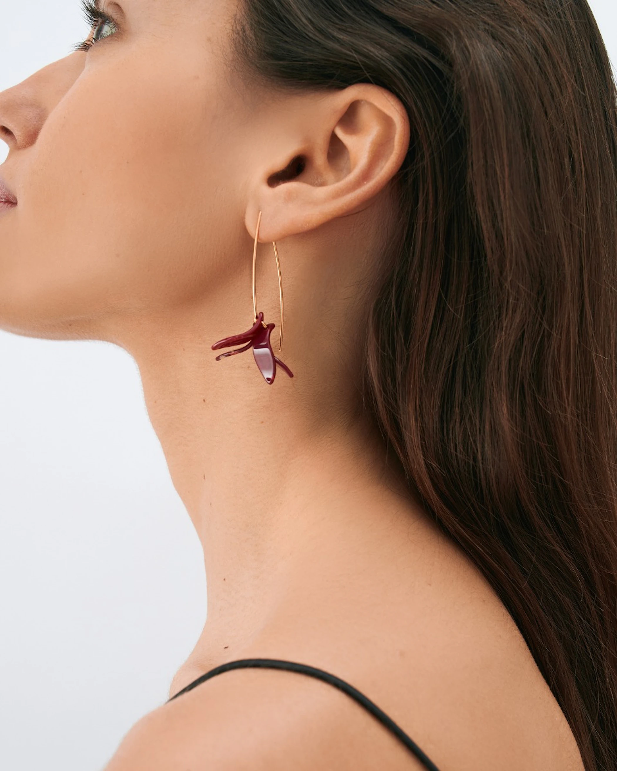 Petalos Orquídea  first