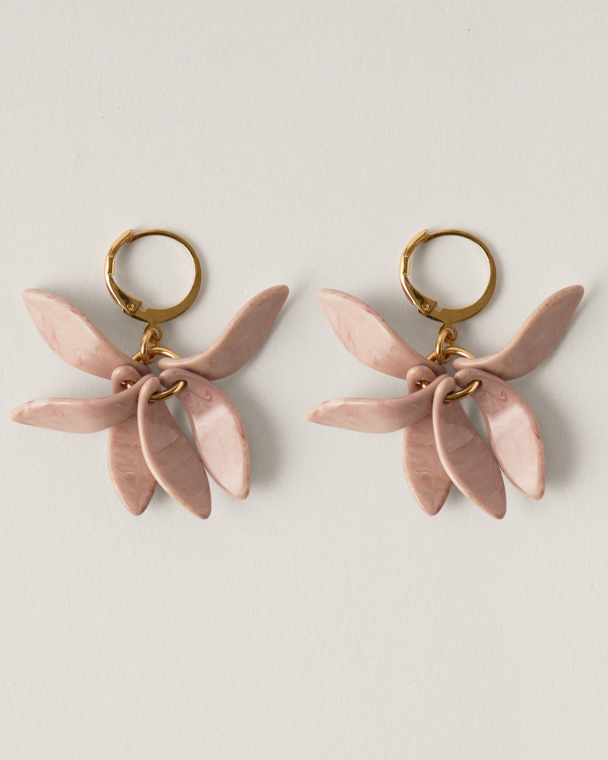 Petalos Orquídea  first