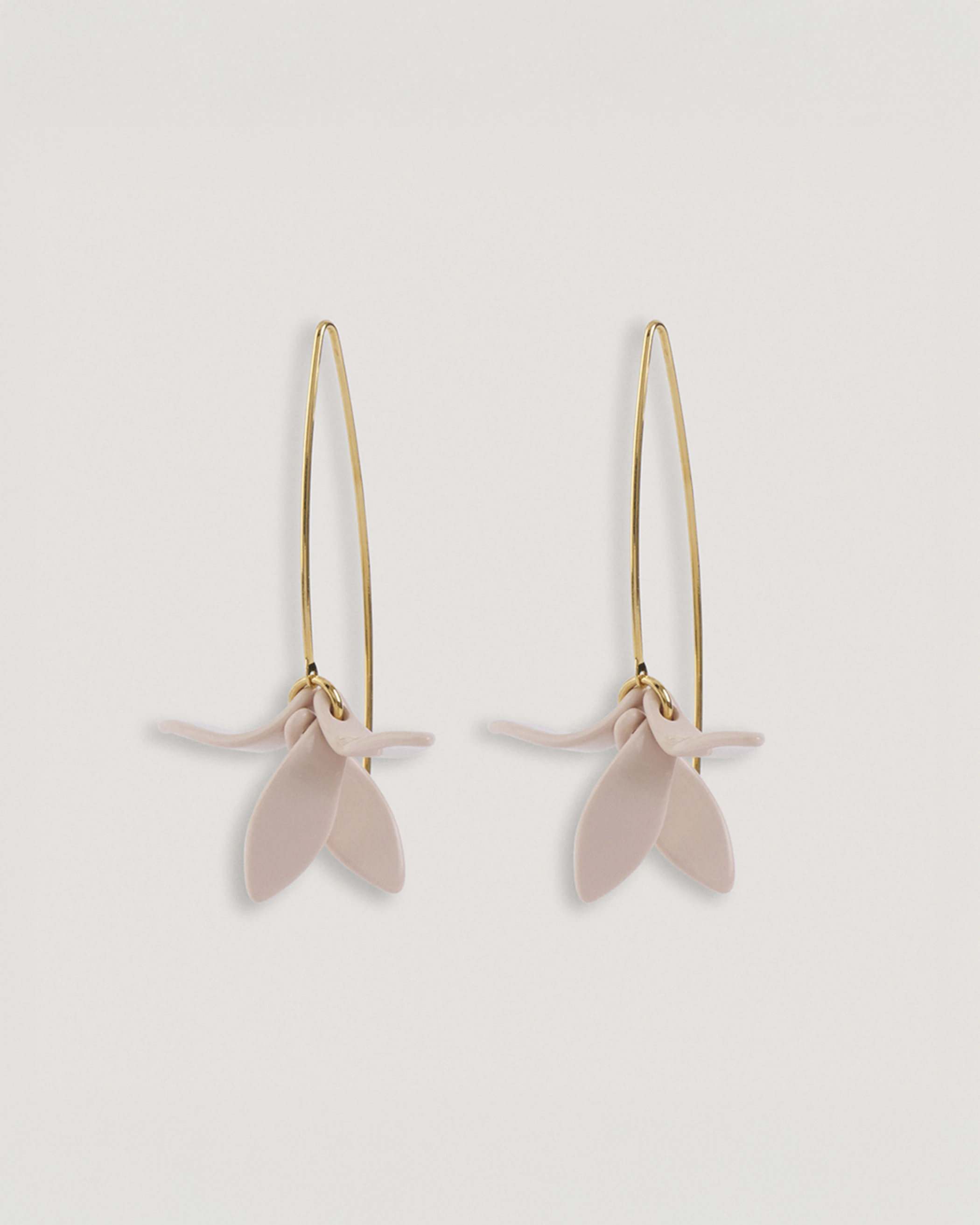 Petalos Orquídea  first