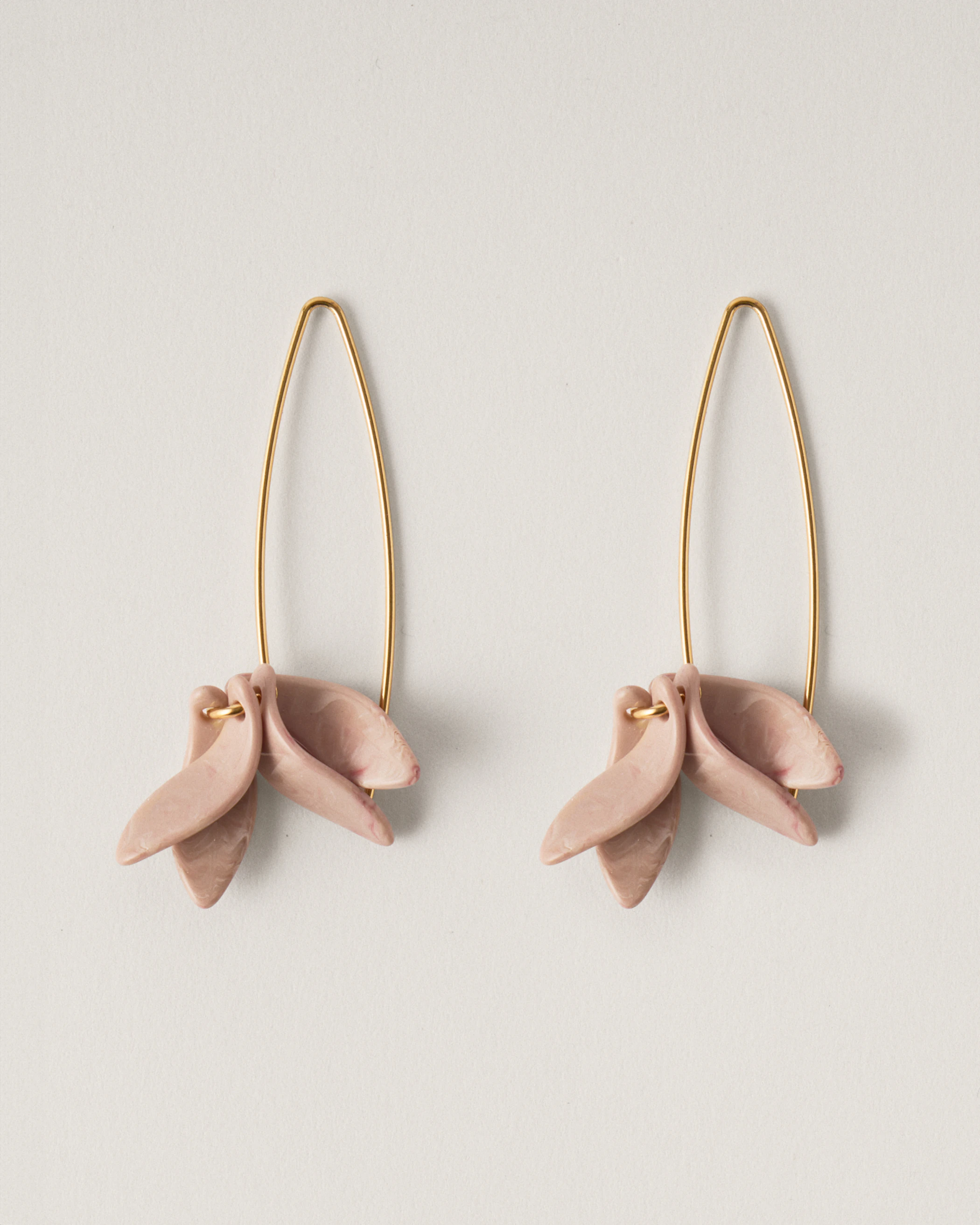 Petalos Orquídea  first