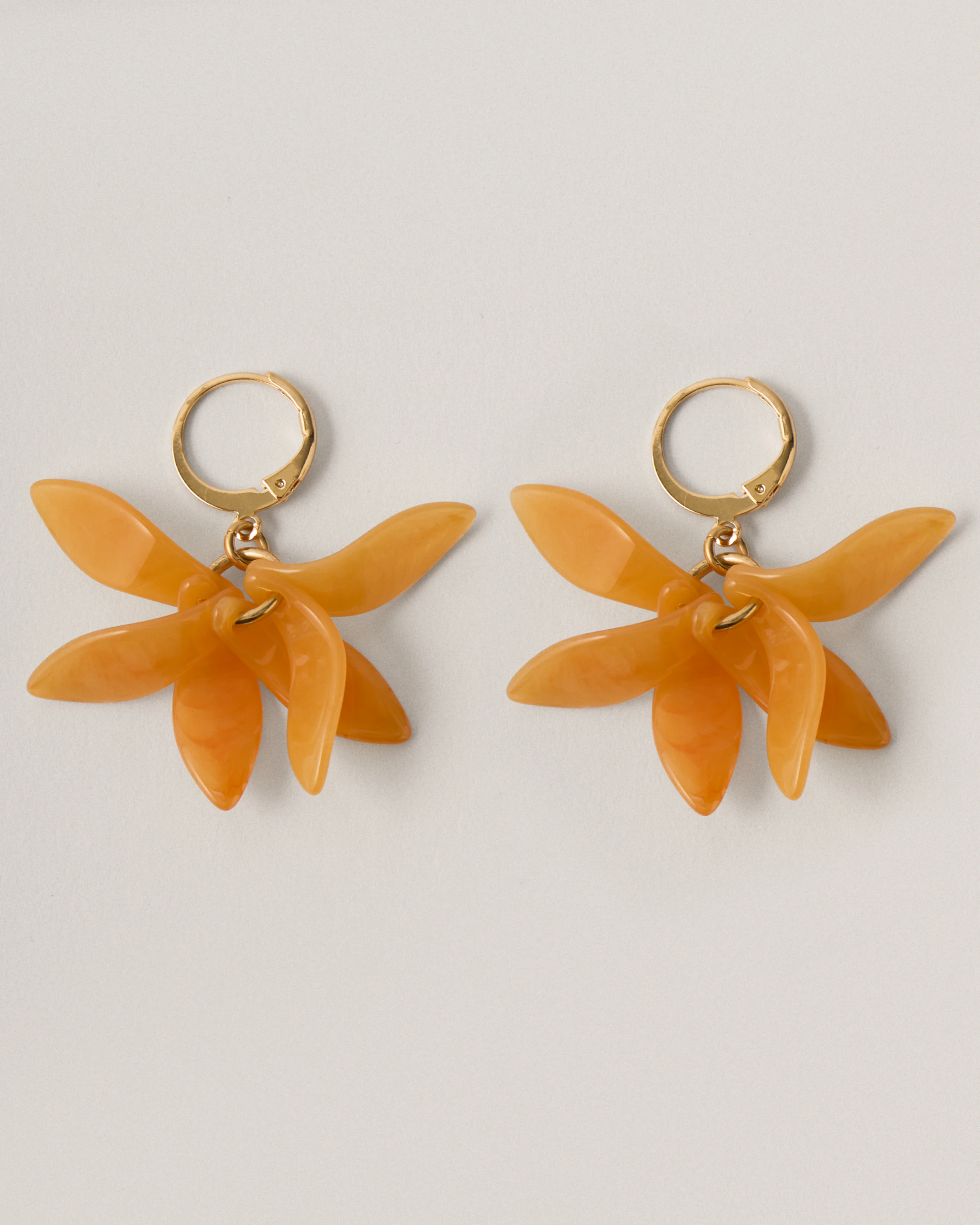 Petalos Orquídea  first