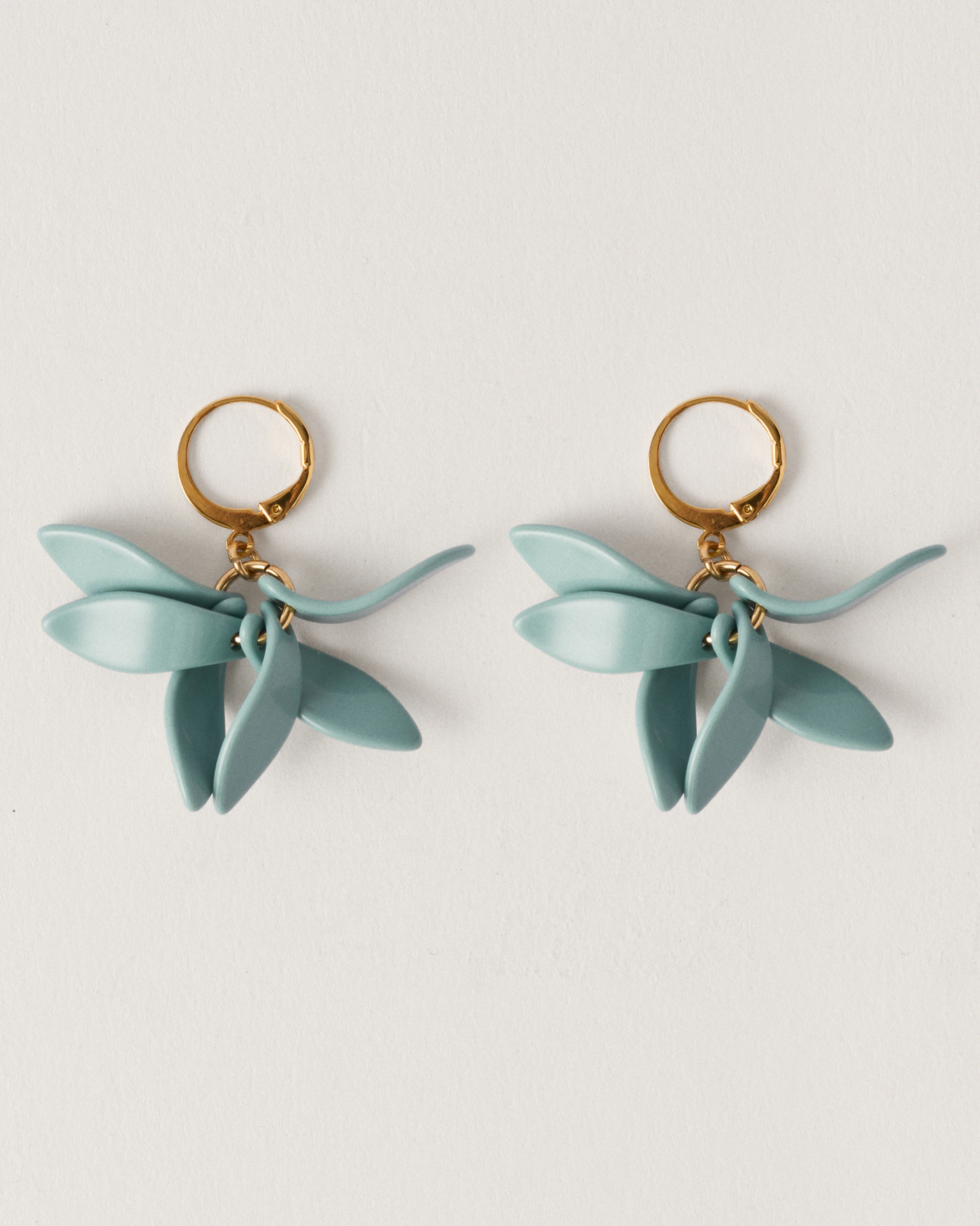 Petalos Orquídea  first