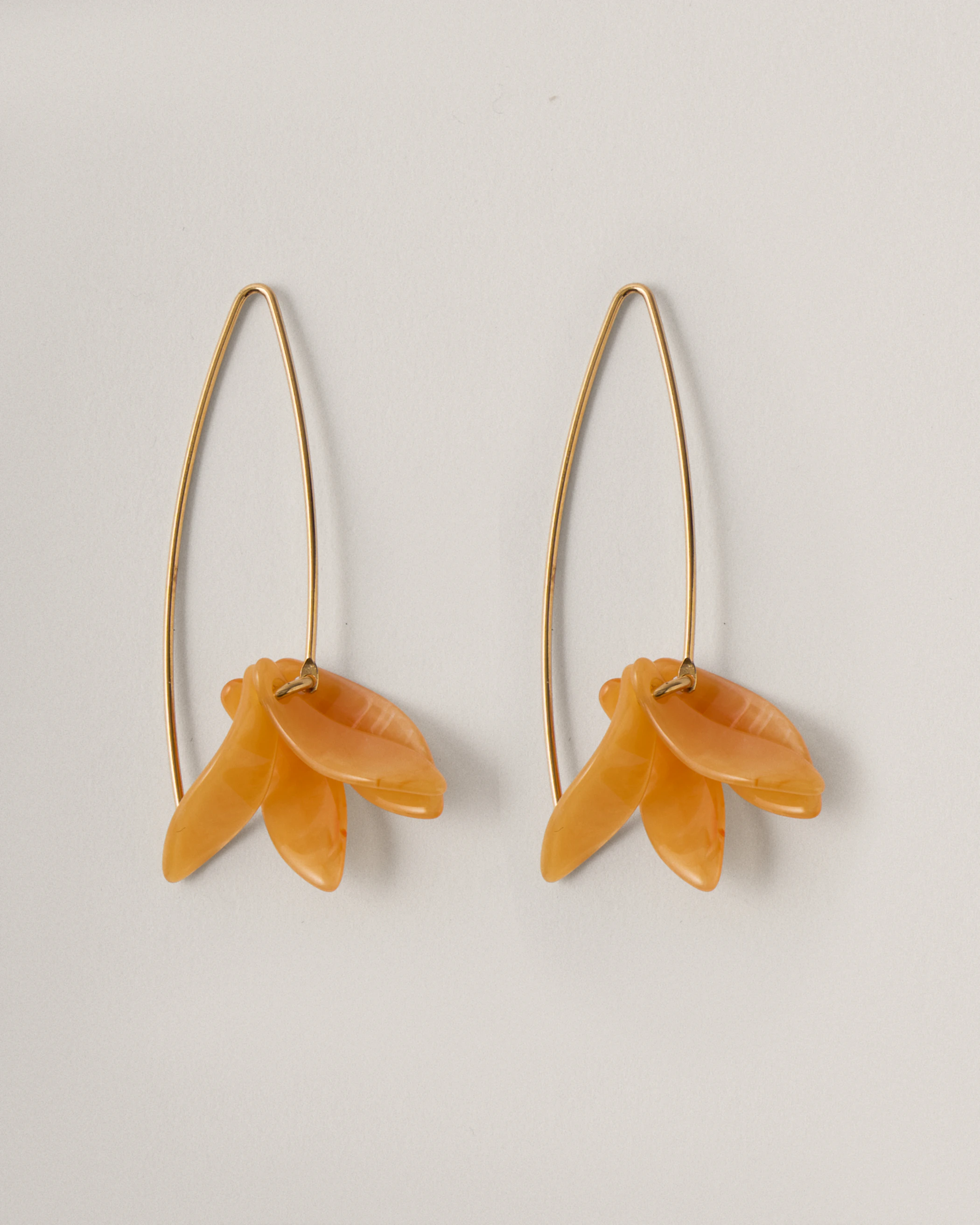 Petalos Orquídea  first