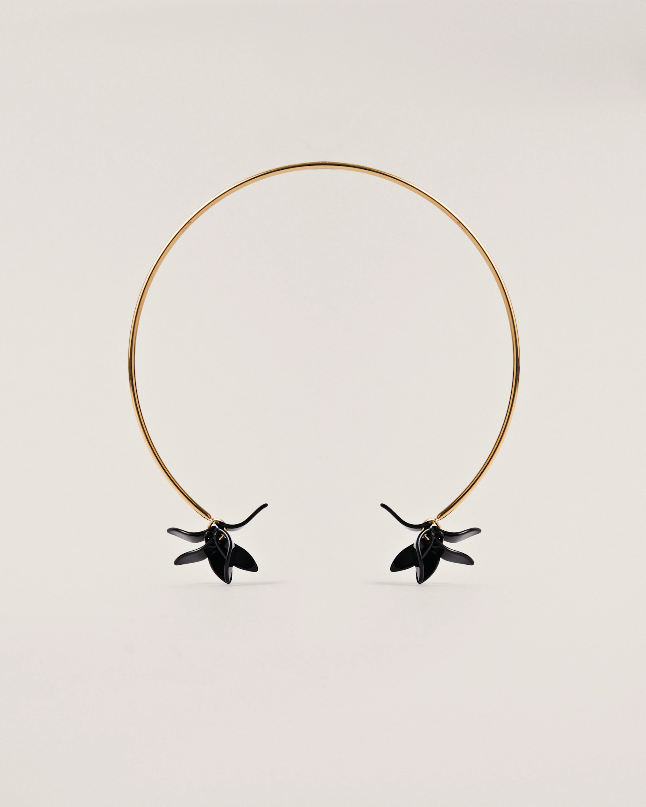 Pétalos Orquidea  first