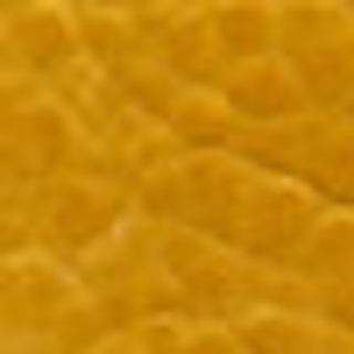 CURCUMA
