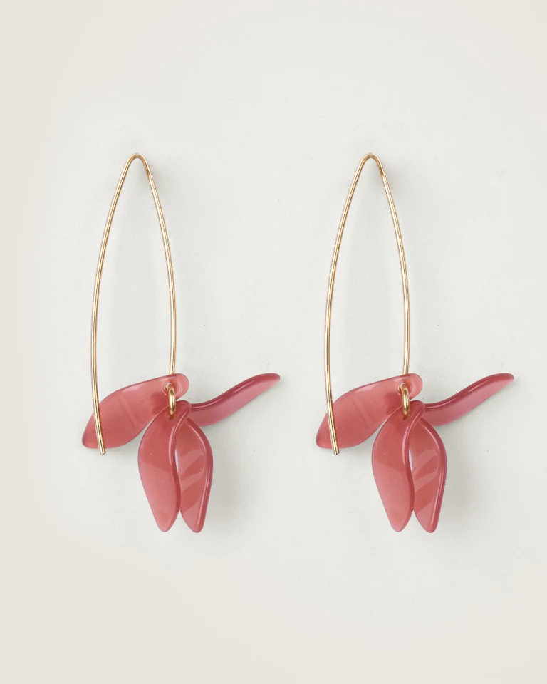 Petalos Orquídea 