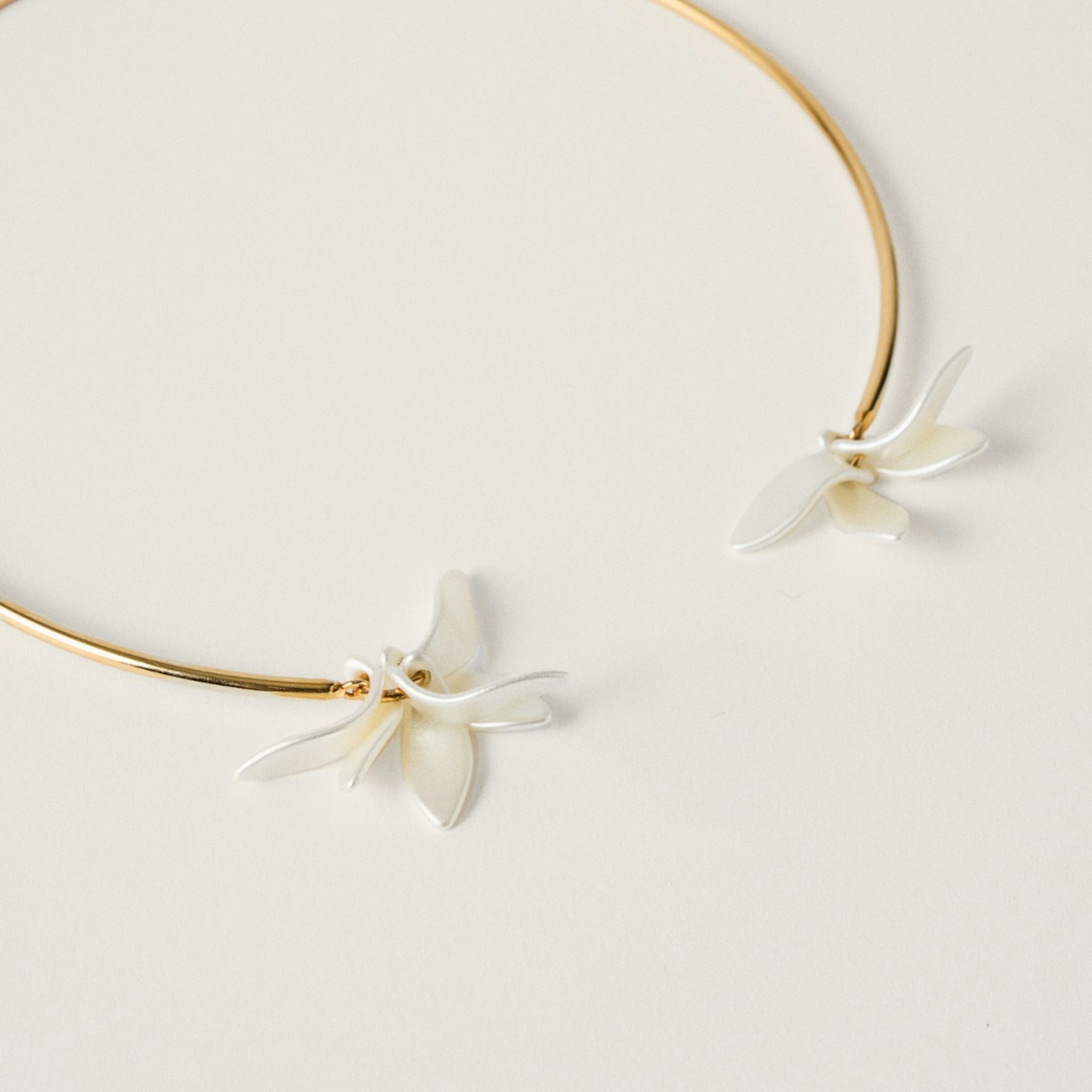 Pétalos Orquidea  second