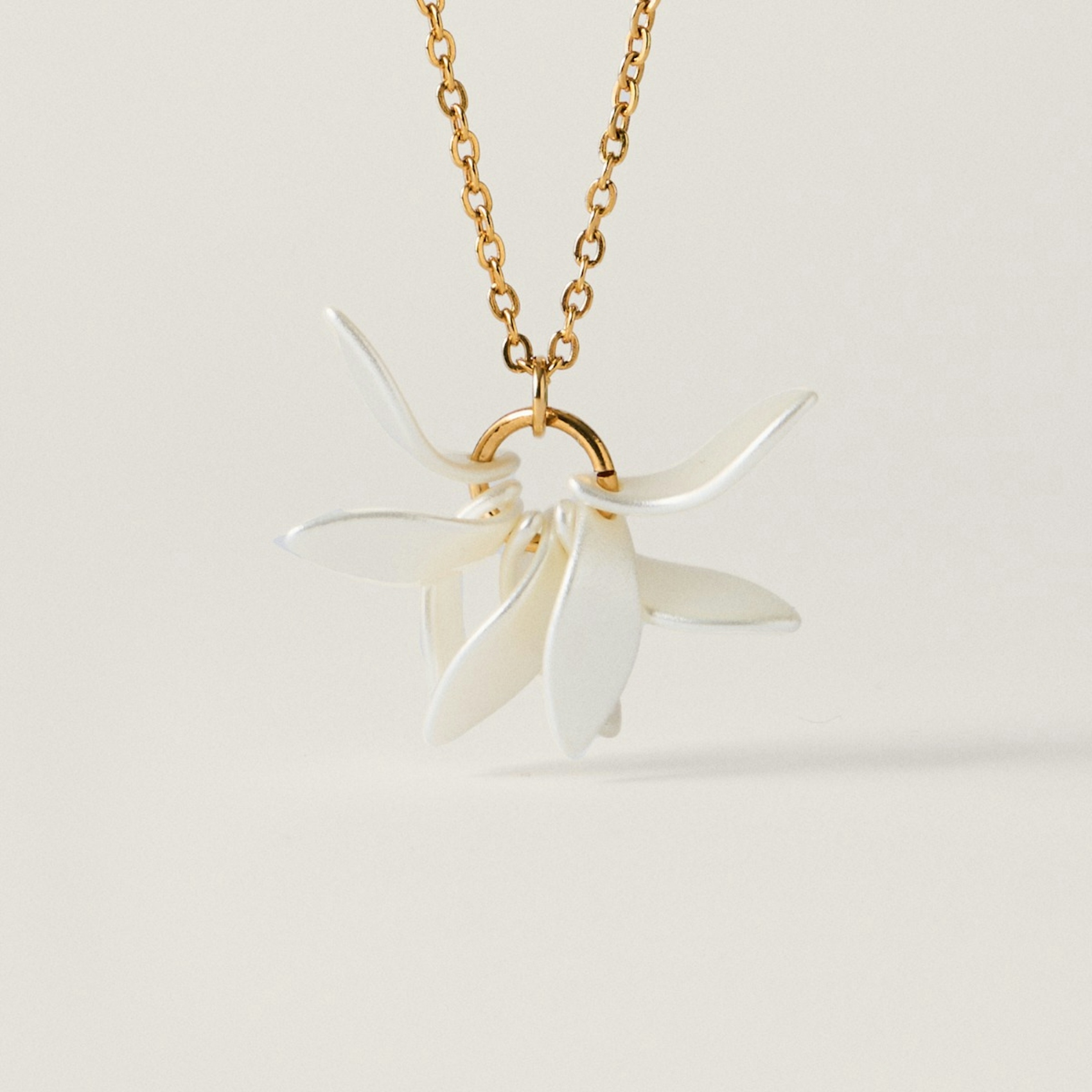 Pétalos Orquidea  second