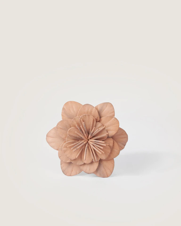 Camelia 