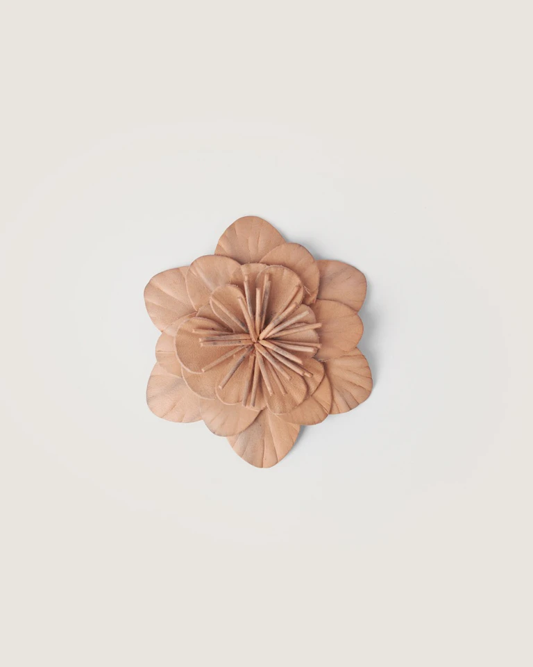 Camelia