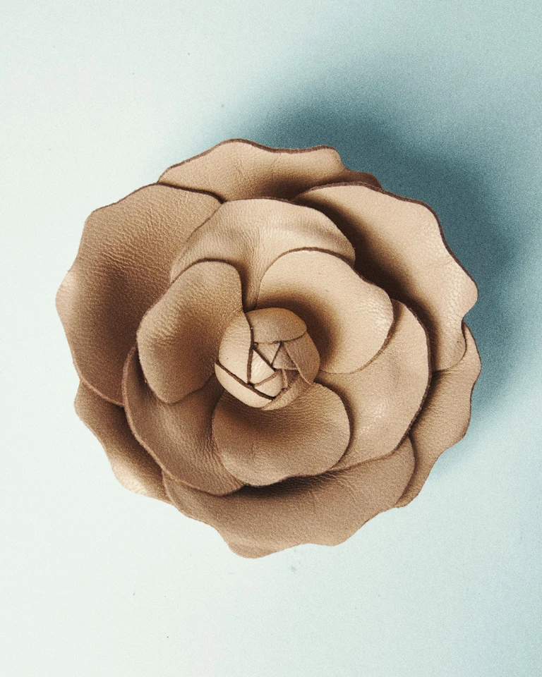Rosa Large 