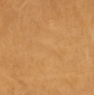 SAHARA