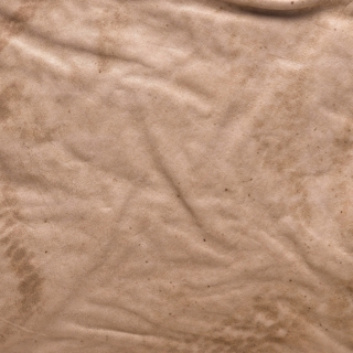 SAHARA