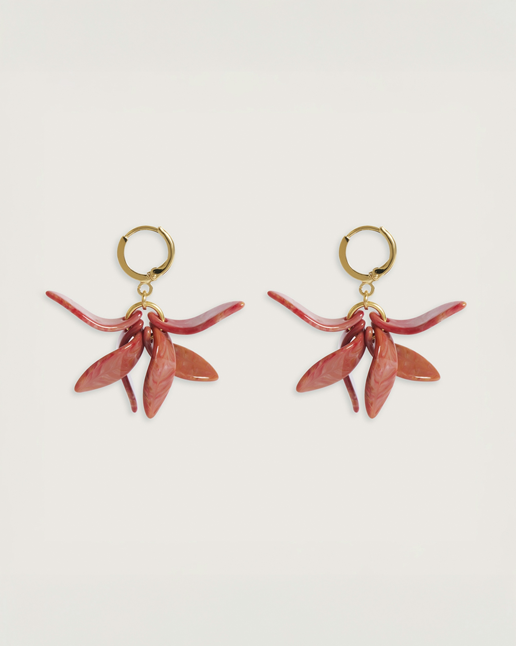 Petalos Orquídea  first