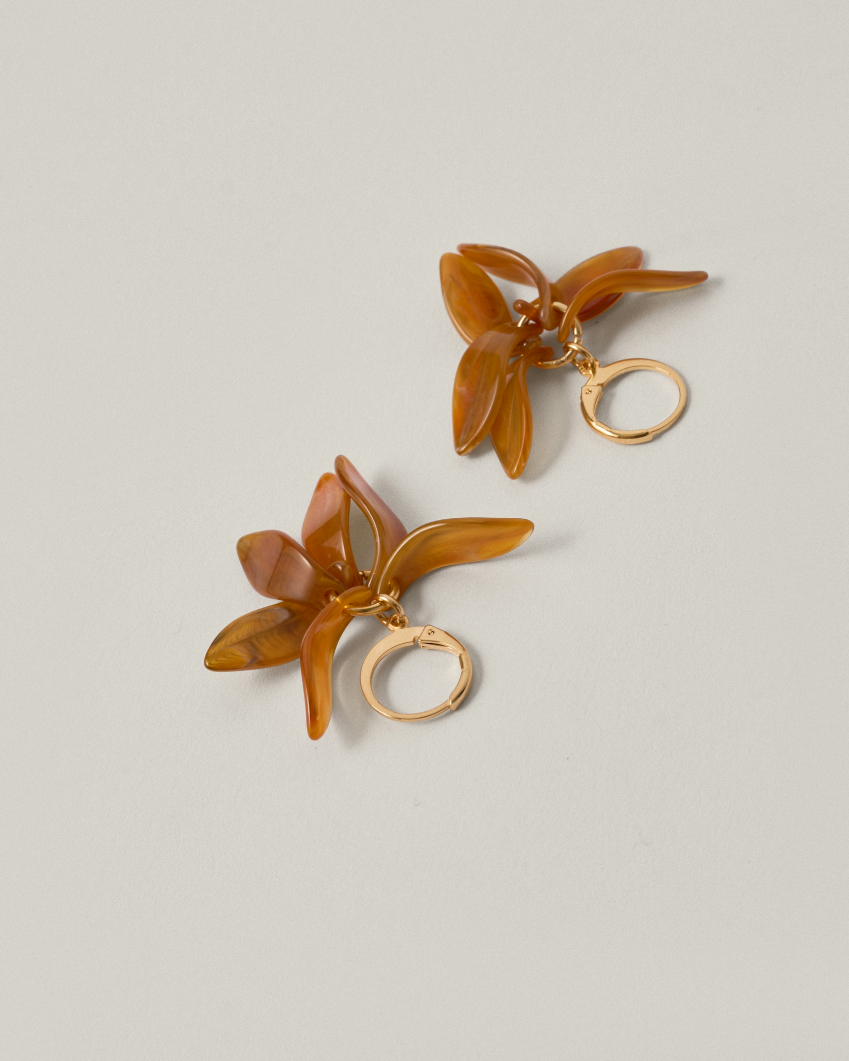 Petalos Orquídea  second