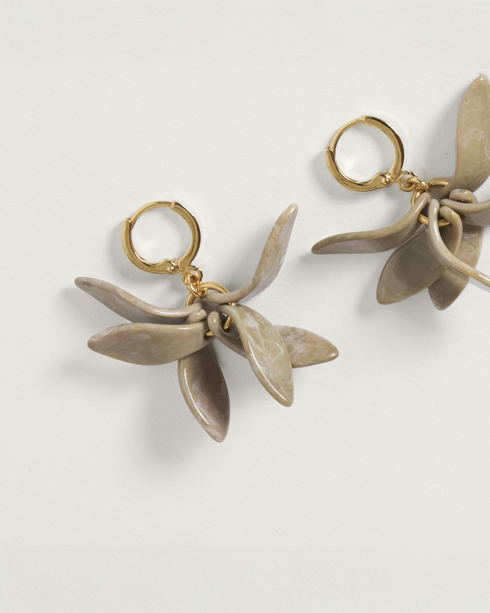 Petalos Orquídea  second