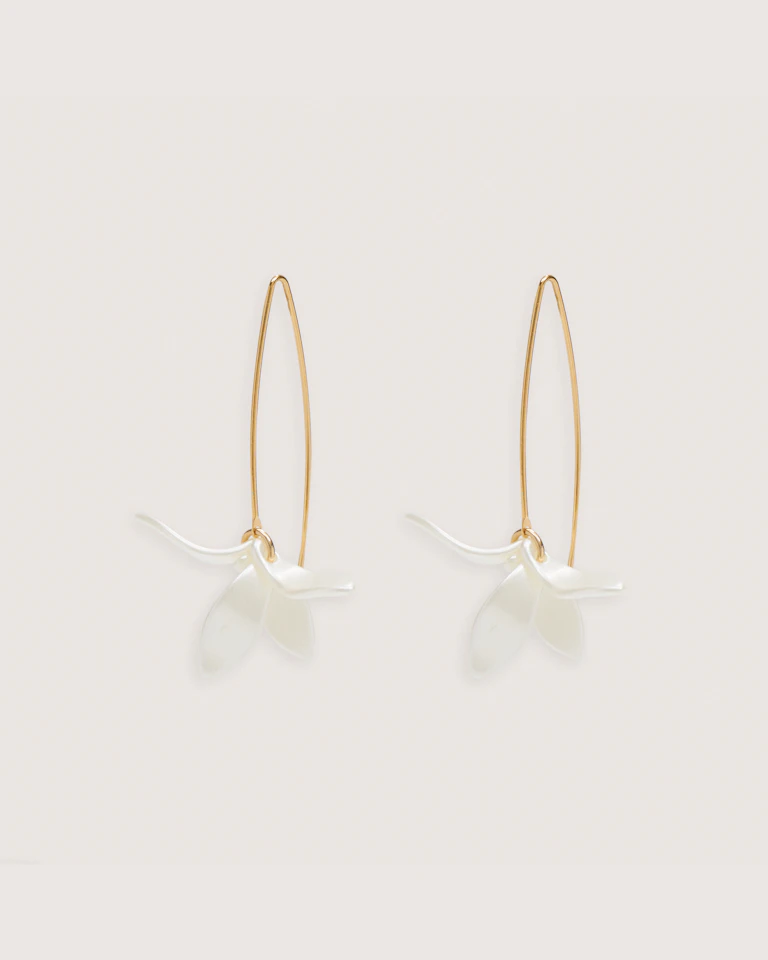 Petalos Orquídea