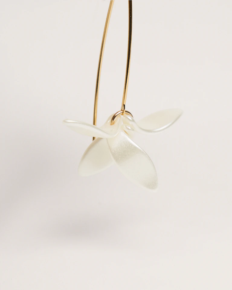Petalos Orquídea 