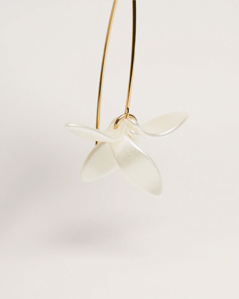 Petalos Orquídea