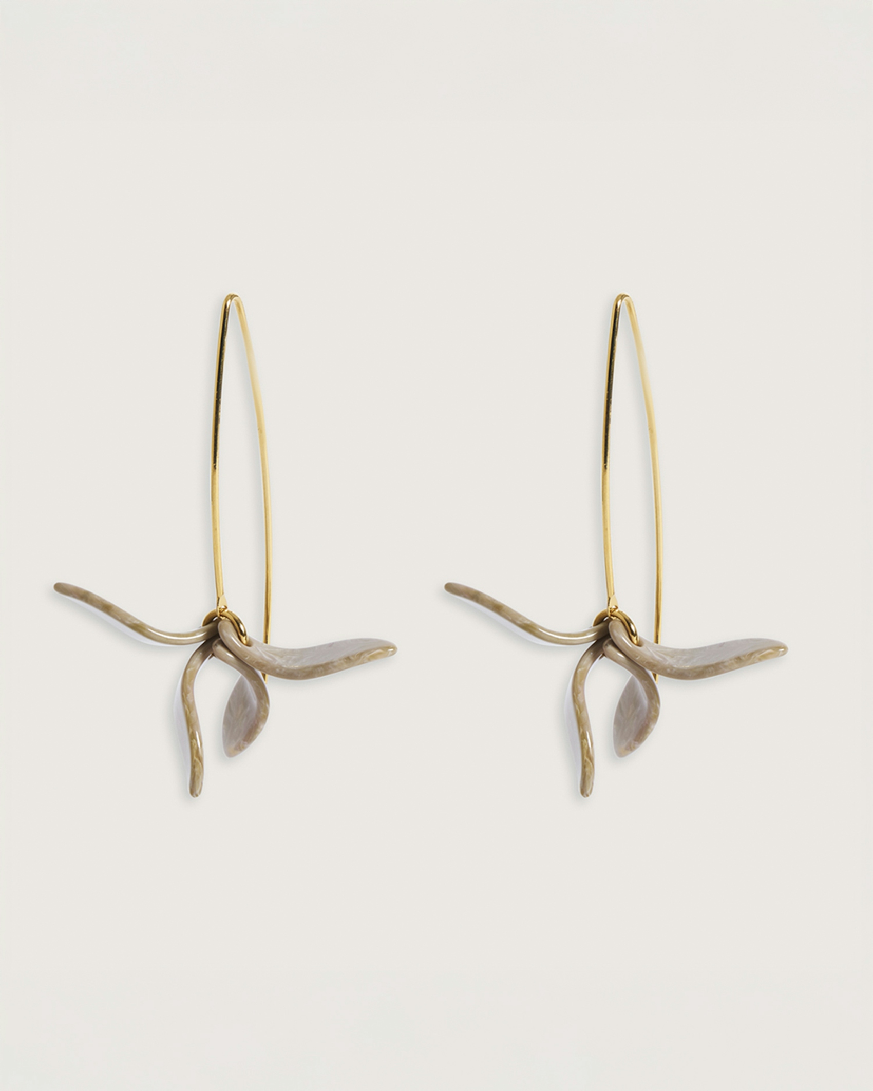 Petalos Orquídea  first