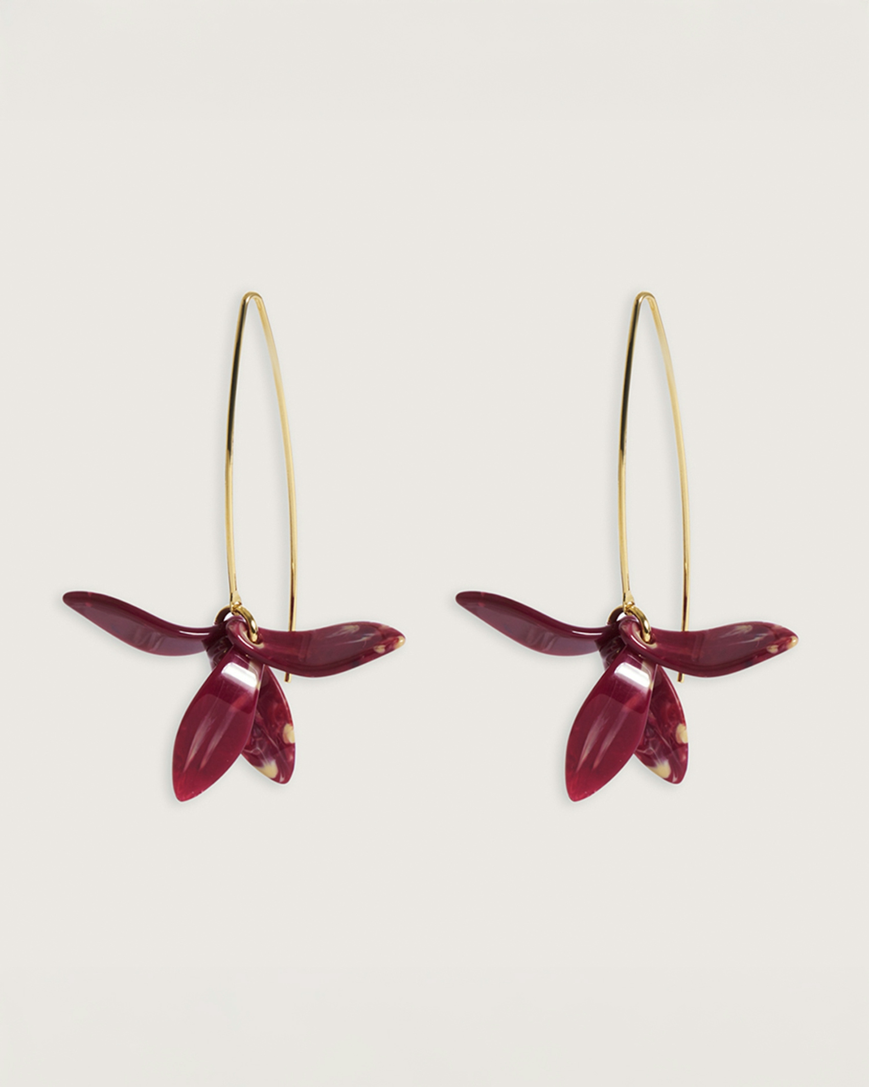 Petalos Orquídea  first