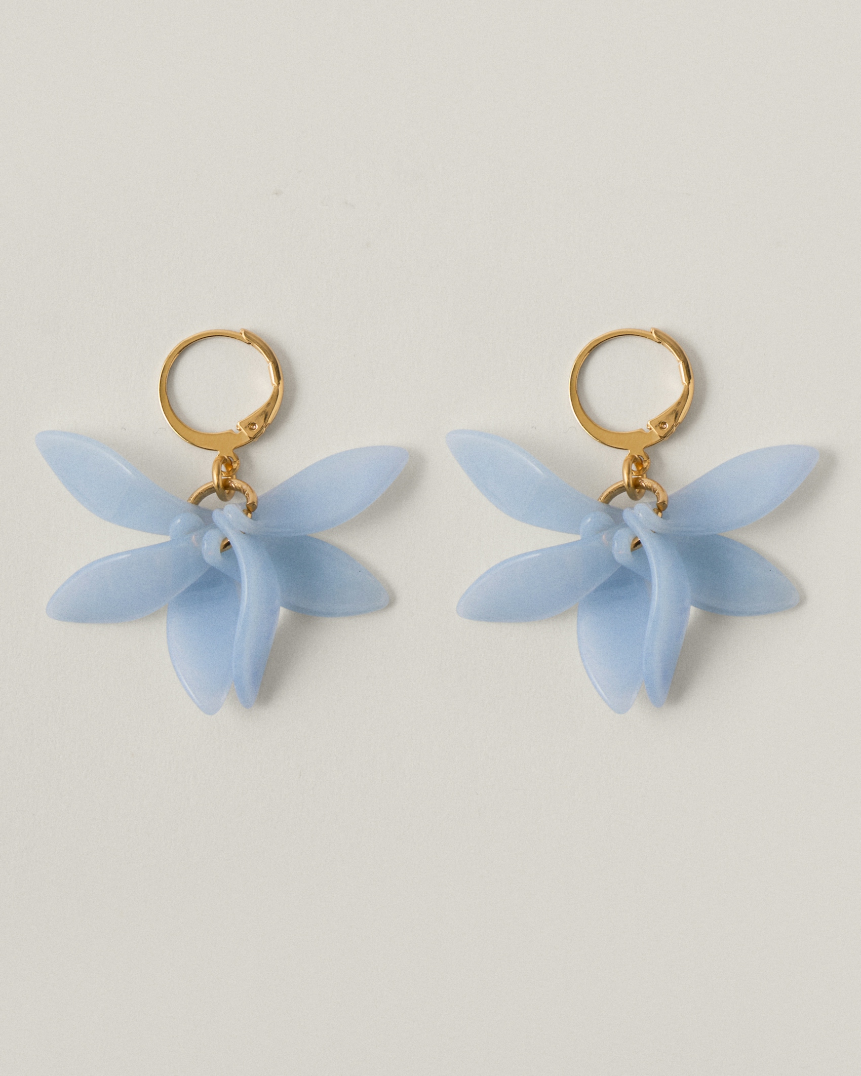 Petalos Orquídea  first