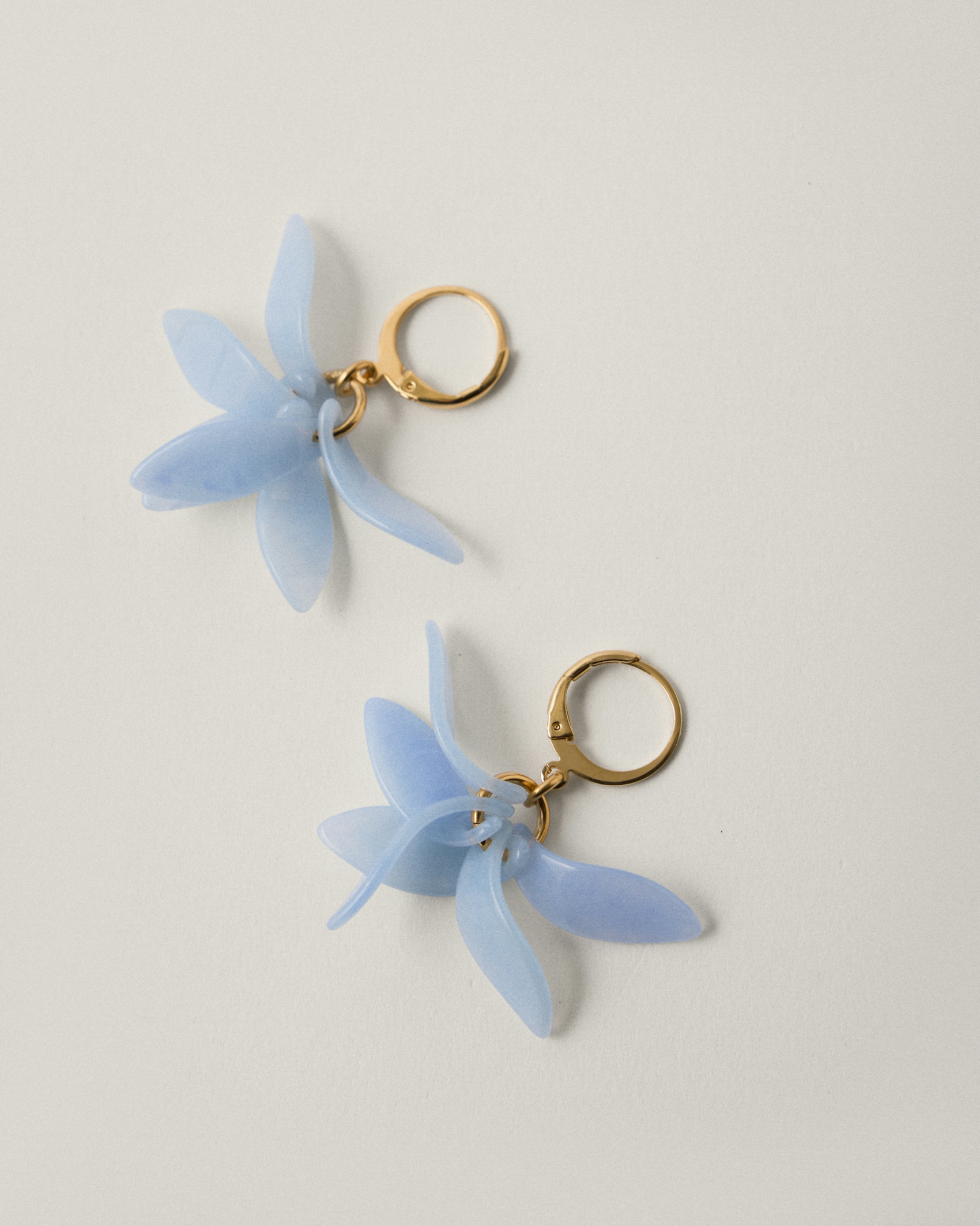 Petalos Orquídea  second