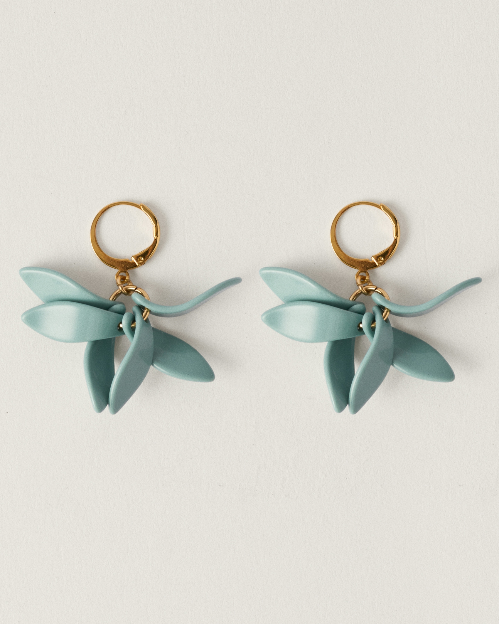 Petalos Orquídea  first