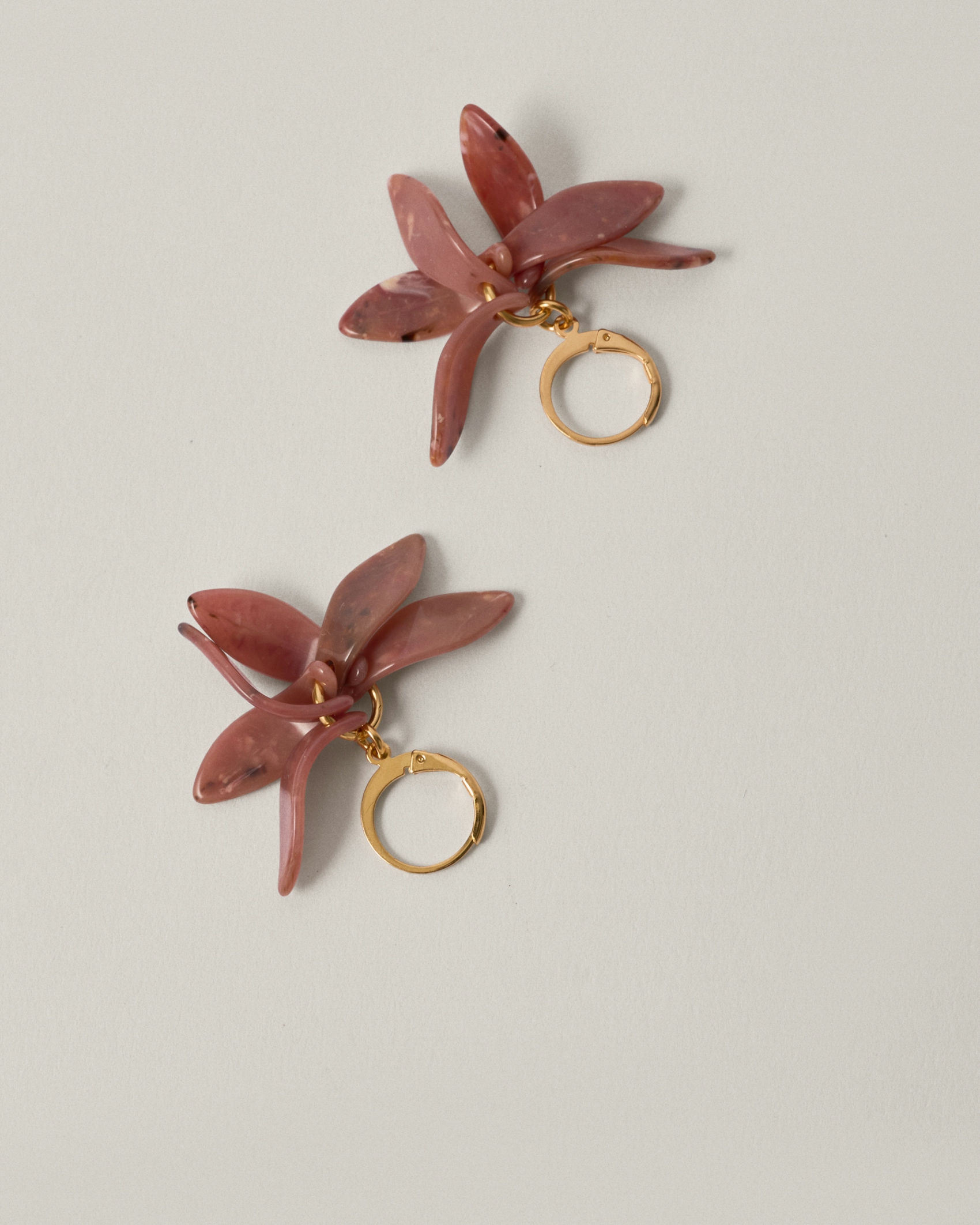 Petalos Orquídea  second