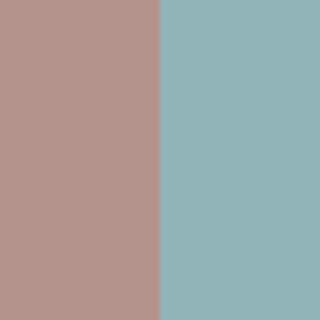 COMBISOFT