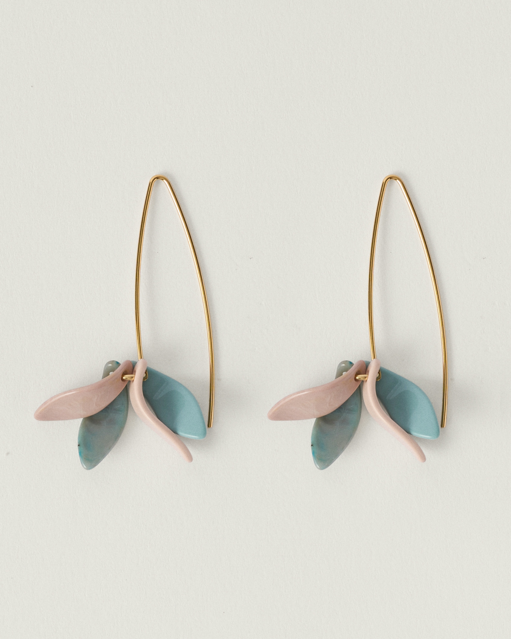 Petalos Orquídea  first