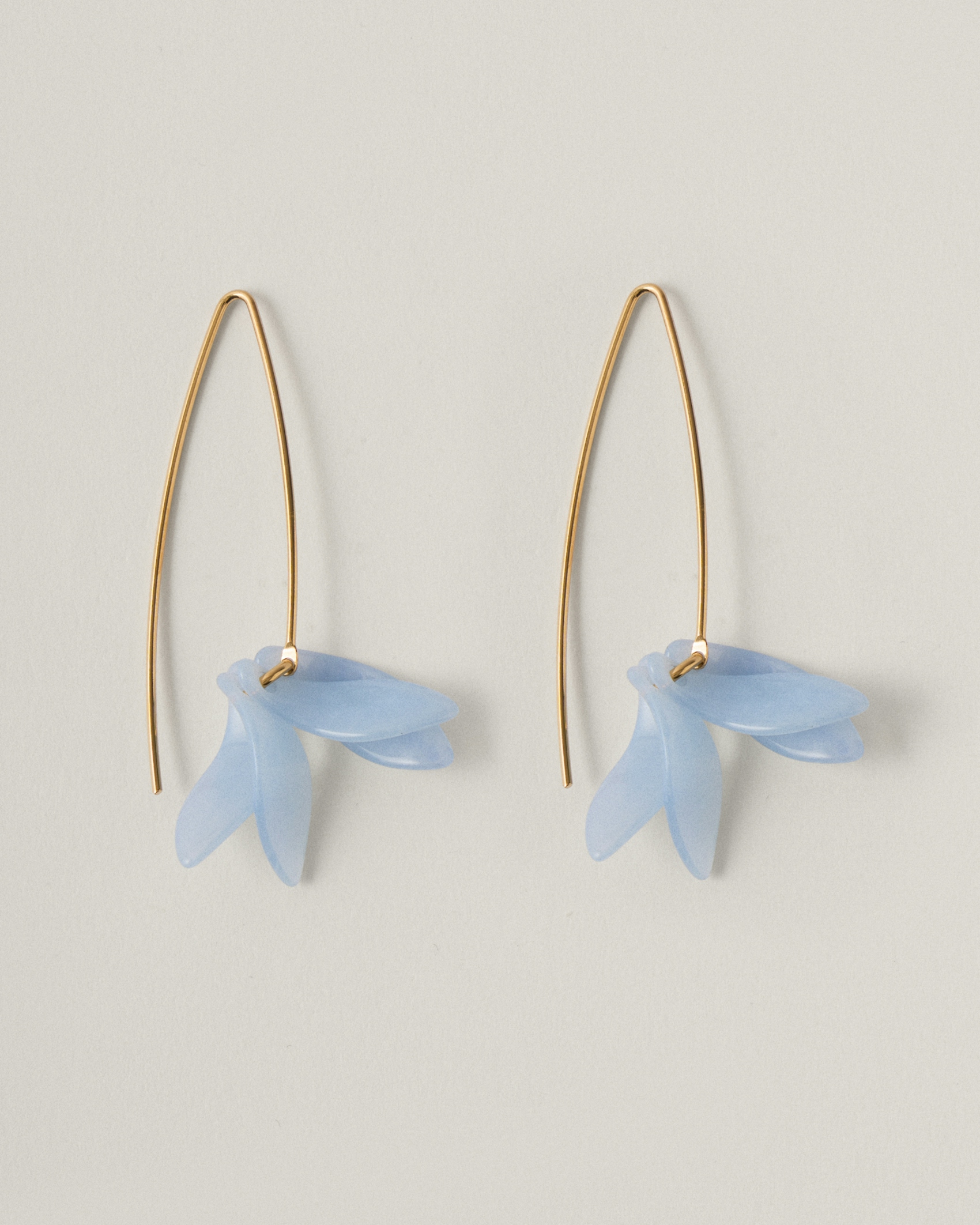 Petalos Orquídea  first