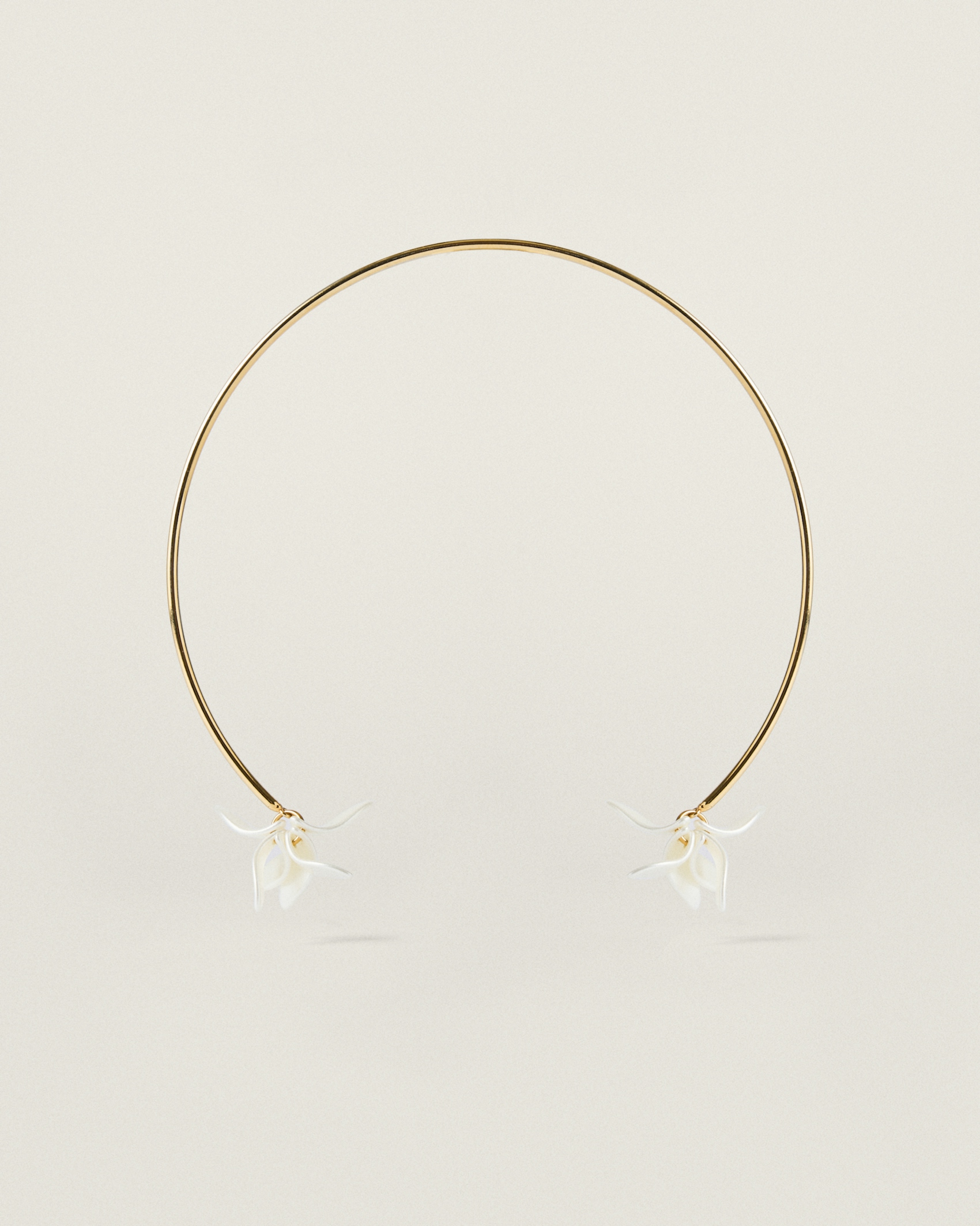 Pétalos Orquidea  first