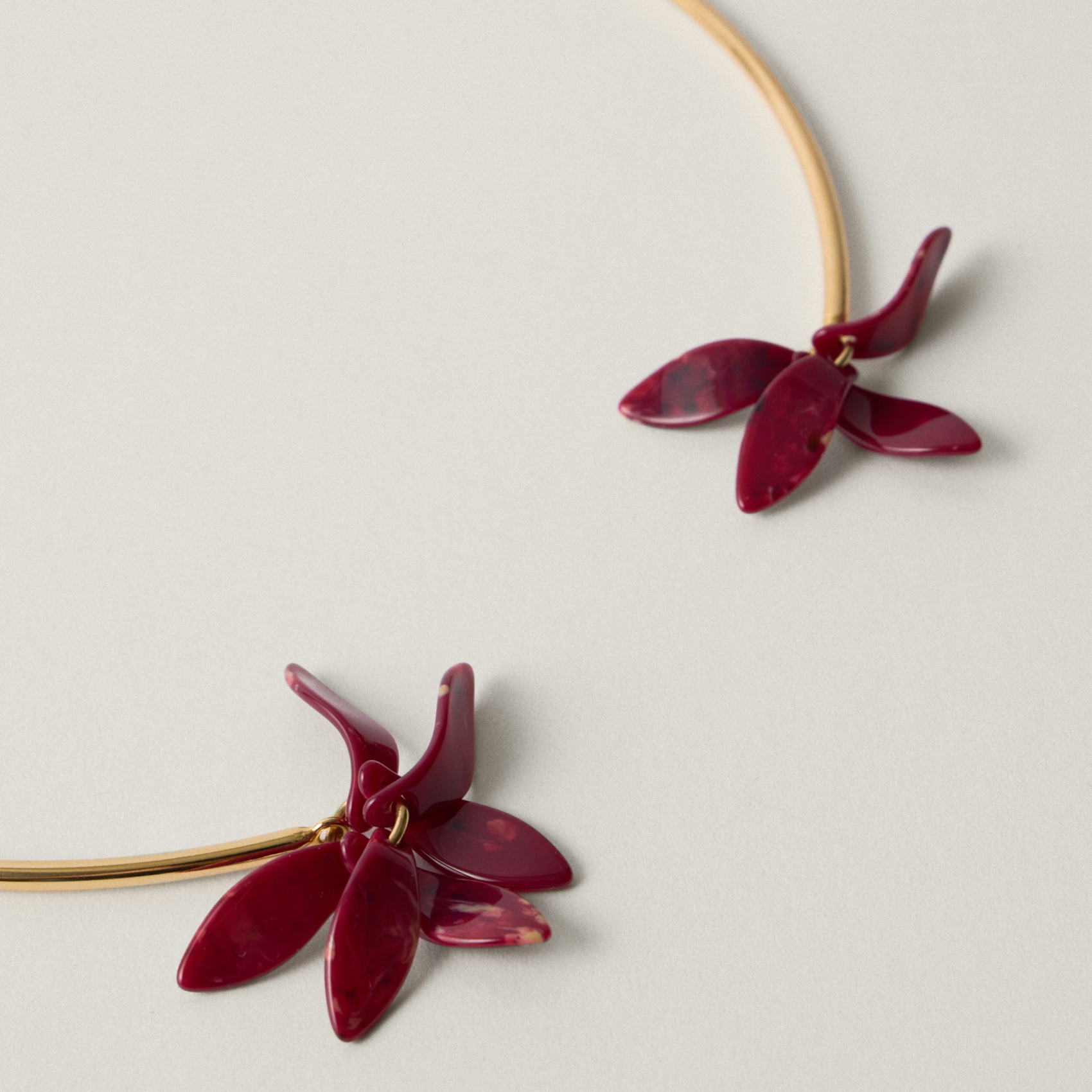 Pétalos Orquidea  second