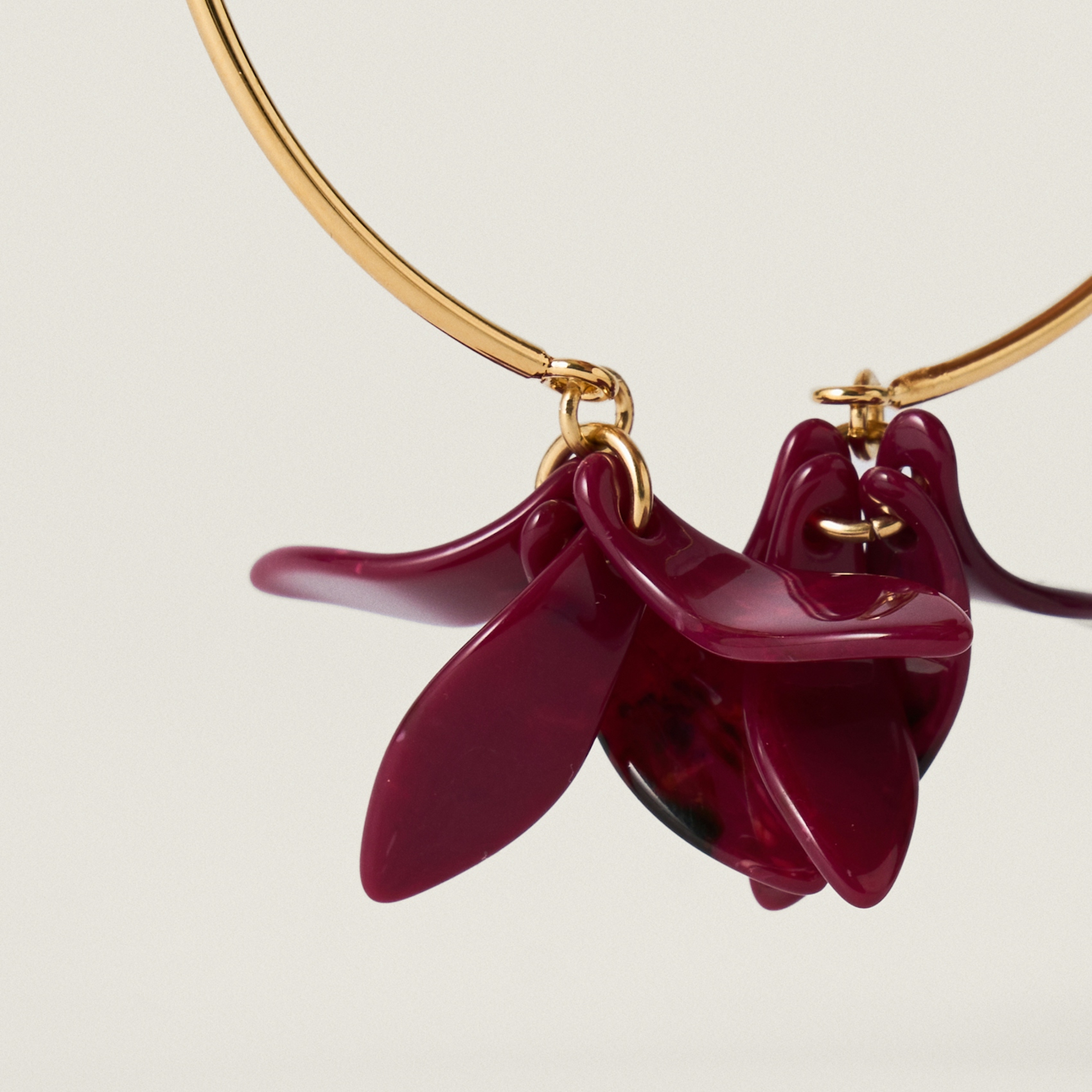 Pétalos Orquidea  second