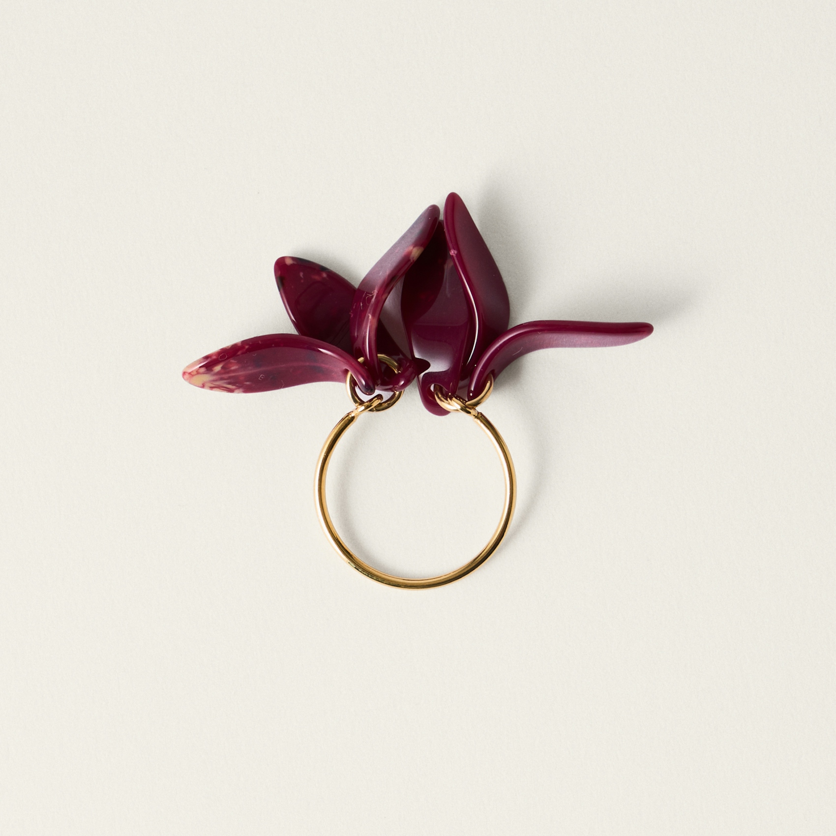 Pétalos Orquidea  first