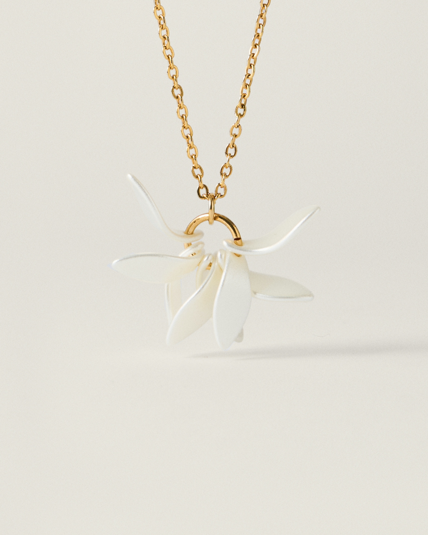 Pétalos Orquidea  second