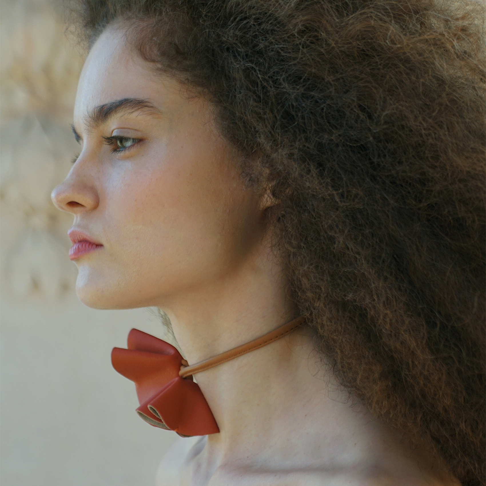 Campanella  first
