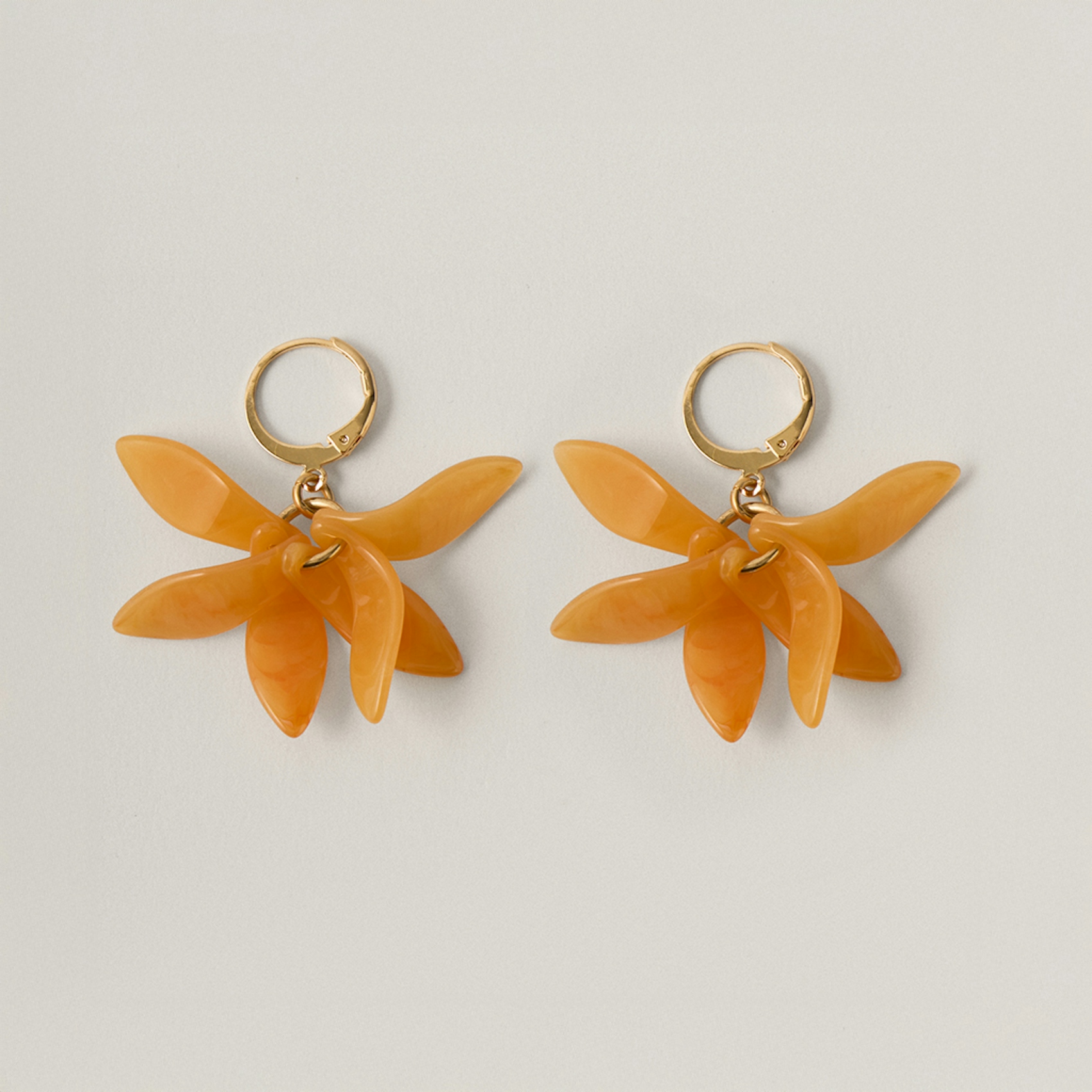 Petalos Orquídea  second