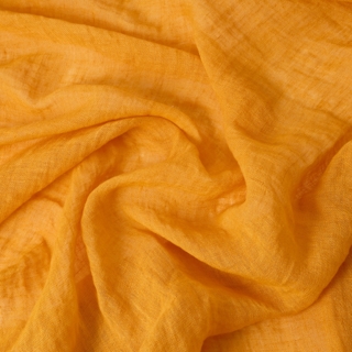 CURCUMA